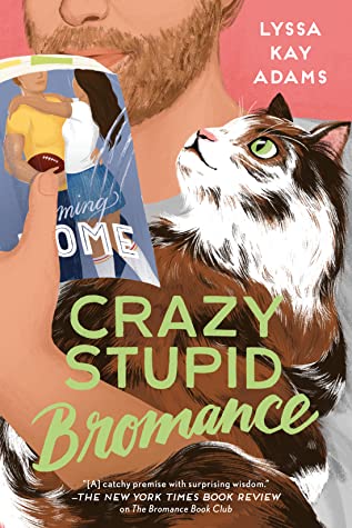 Review: Crazy Stupid Bromance – Lyssa Kay Adams